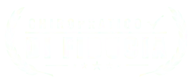 Chiropratica Milano MI
